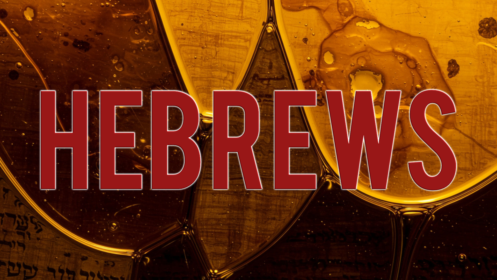 014 - Established by Grace